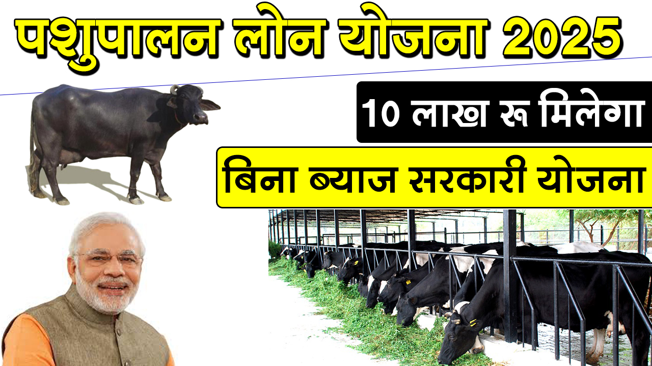डेयरी फार्मिंग लोन